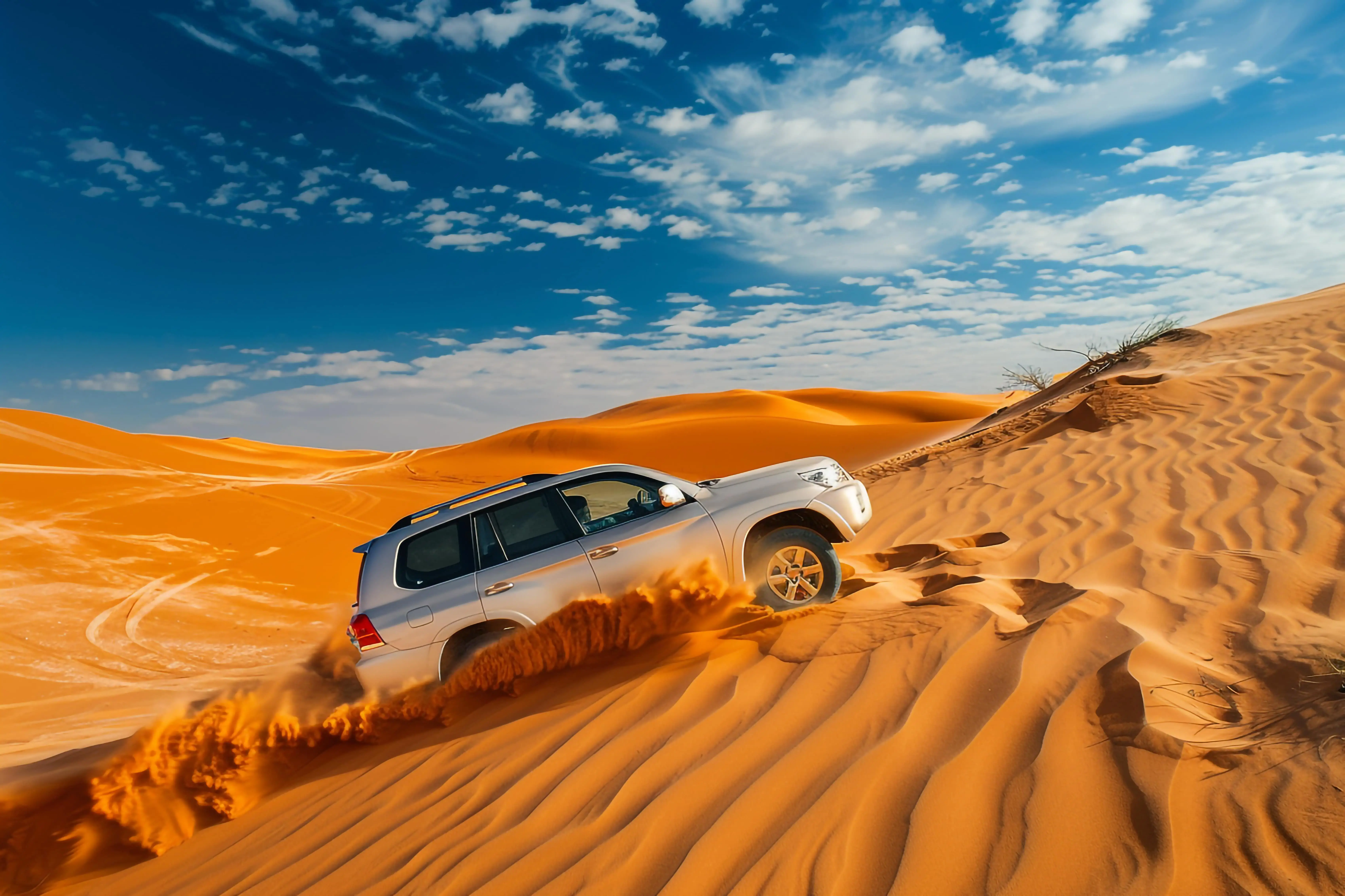 Dune Bashing